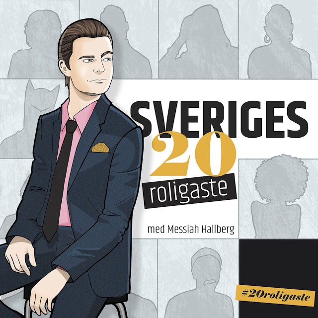 Sveriges 20 roligaste