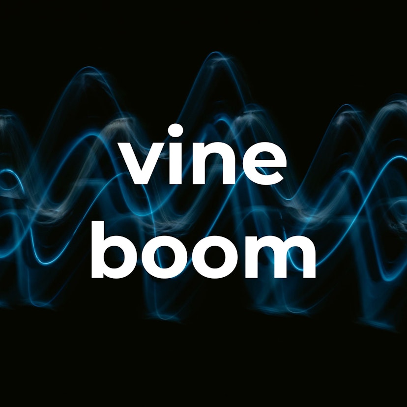 vine boom