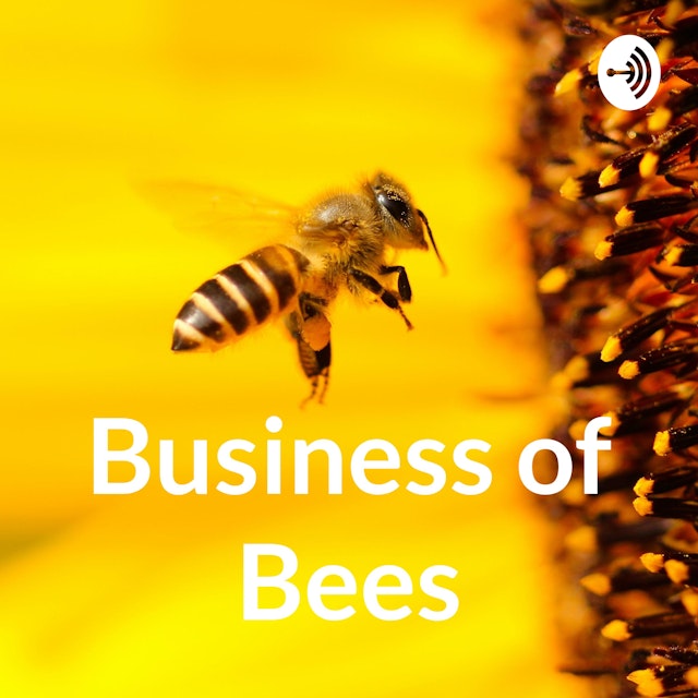 Business of Bees