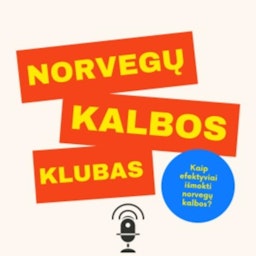 Kaip efektyviai išmokti norvegų kalbos
