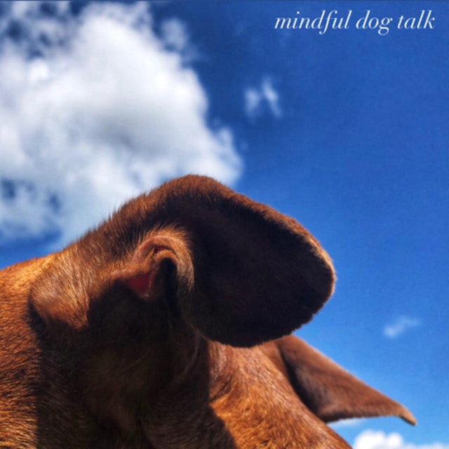 Mindful Dog Talk