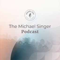 Michael Singer Podcast