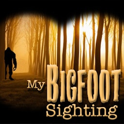 My Bigfoot Sighting
