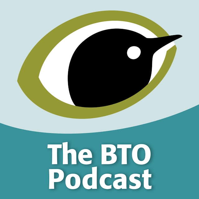 The BTO Podcast