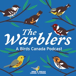 The Warblers by Birds Canada