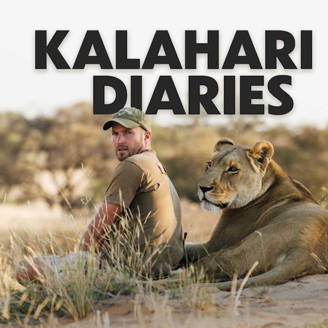 Kalahari Diaries