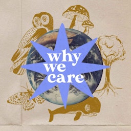 Why We Care