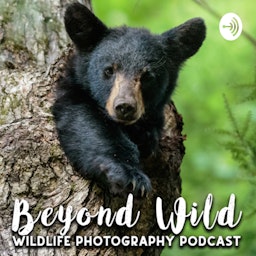 Beyond Wild: Wildlife Photography Podcast
