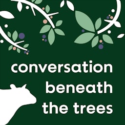 Conversation Beneath The Trees