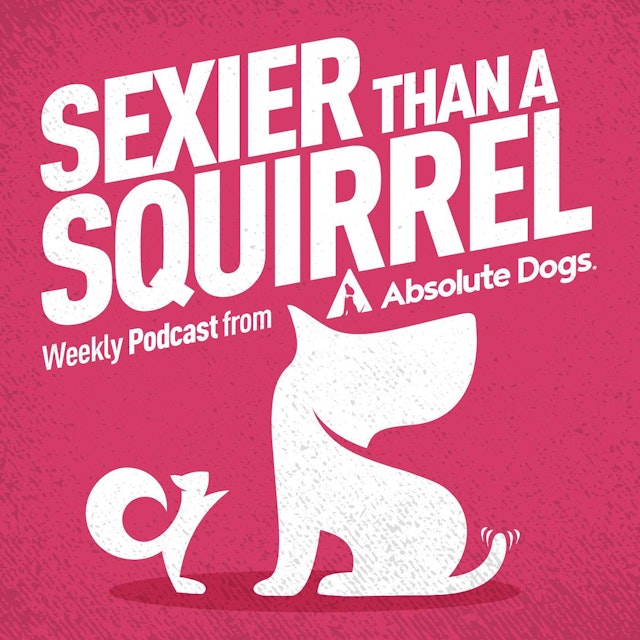Sexier Than A Squirrel: Dog Training That Gets Real Life Results