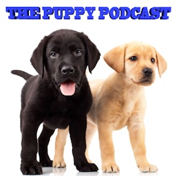 The Puppy Podcast