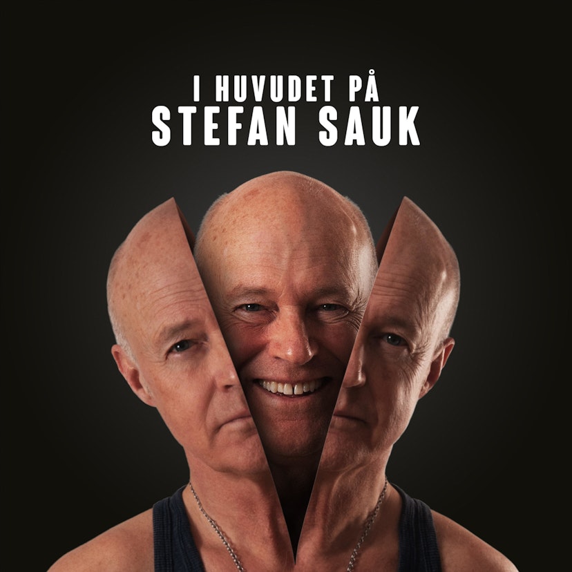 I huvudet på Stefan Sauk