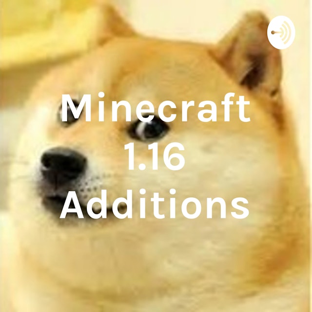 Minecraft 1.16 Additions