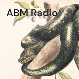ABM Radio: Into The Wild With B