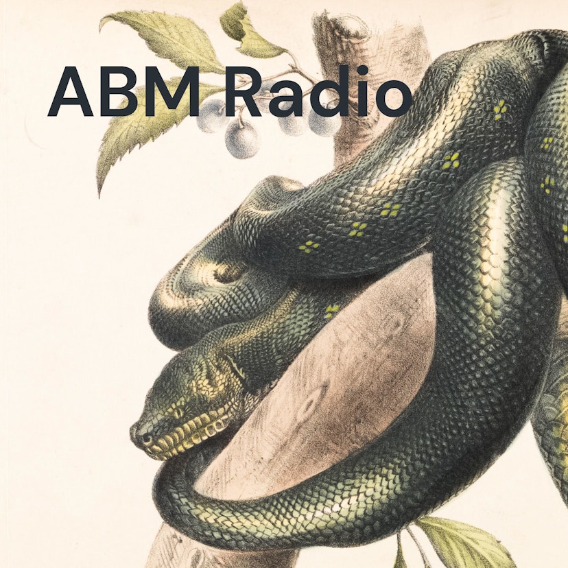 ABM Radio: Into The Wild With B
