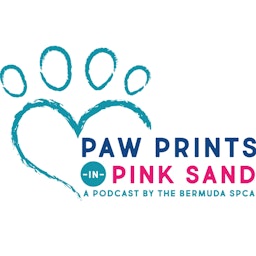 Paw Prints in Pink Sand