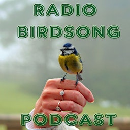 The Radio Birdsong Podcast