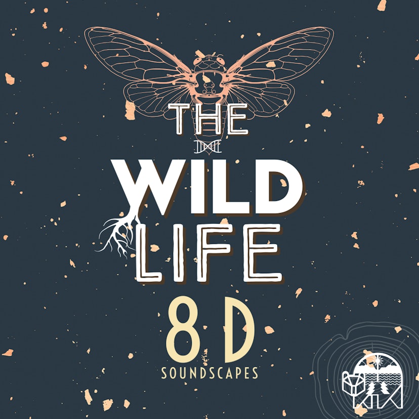 The Wild Life: 8D Soundscapes
