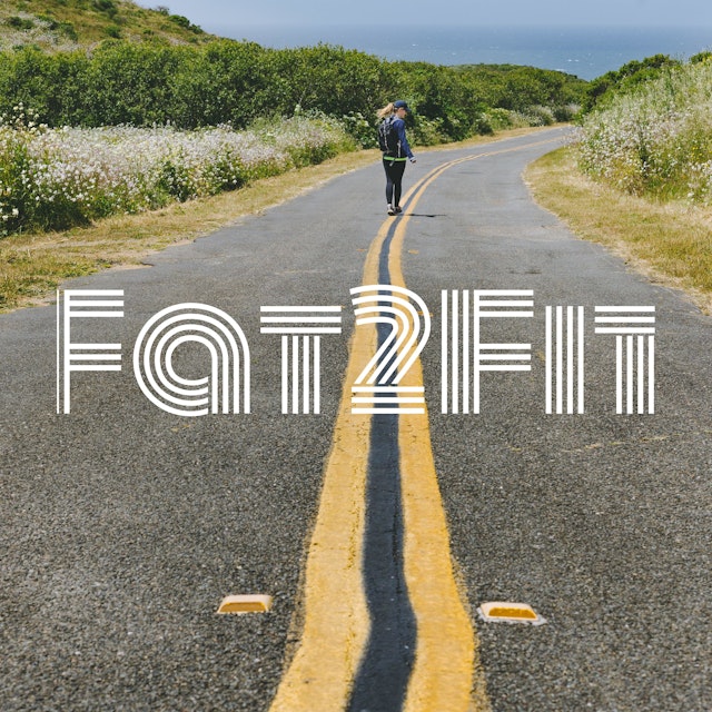 Fat2Fit