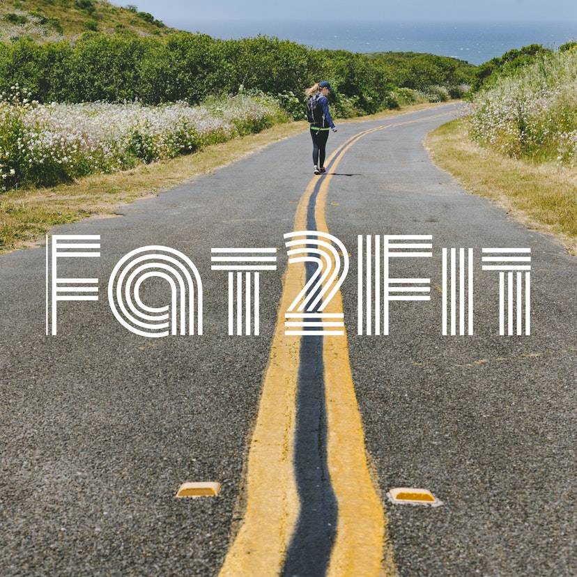 Fat2Fit