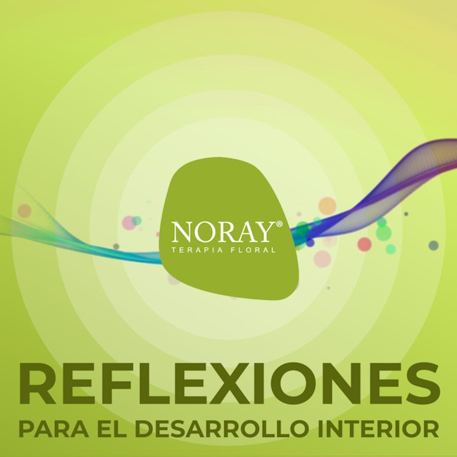 Noray: reflexiones para el desarrollo interior