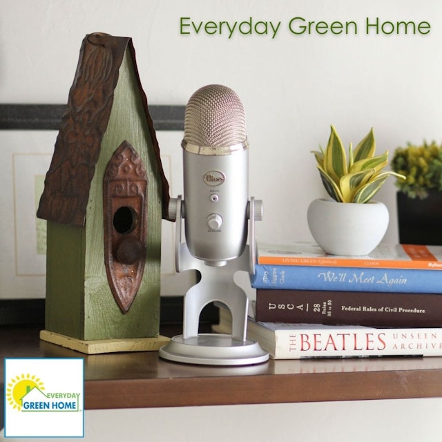 Everyday Green Home