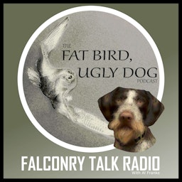 The Fat Bird, Ugly Dog Podcast
